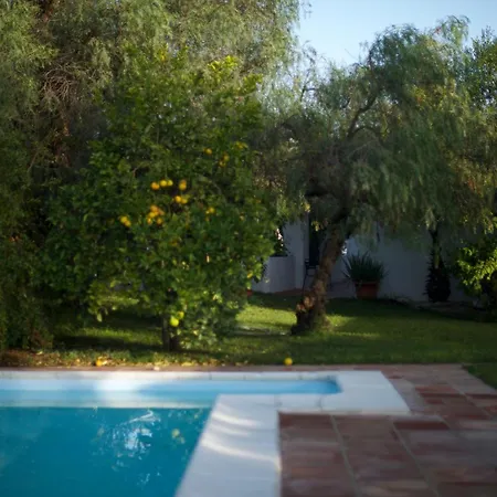 Slow Vejer *